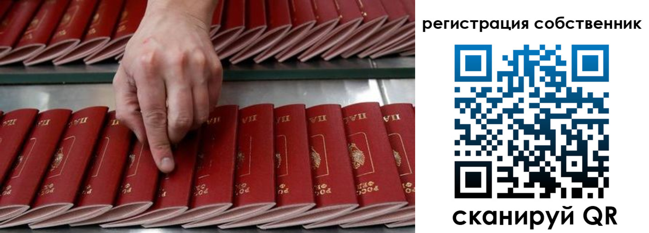 прописка ребенка в Зеленогорске